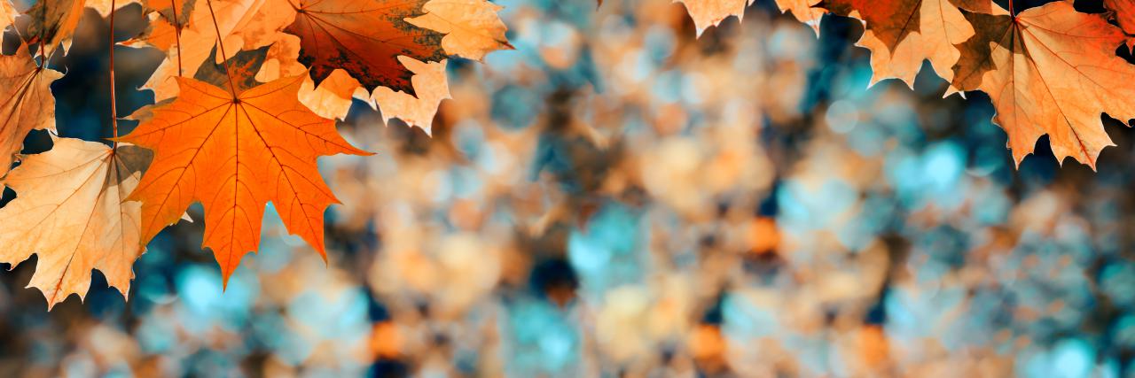 🍂 Listopadowe odkrycia w naszej świetlicy! 🔬